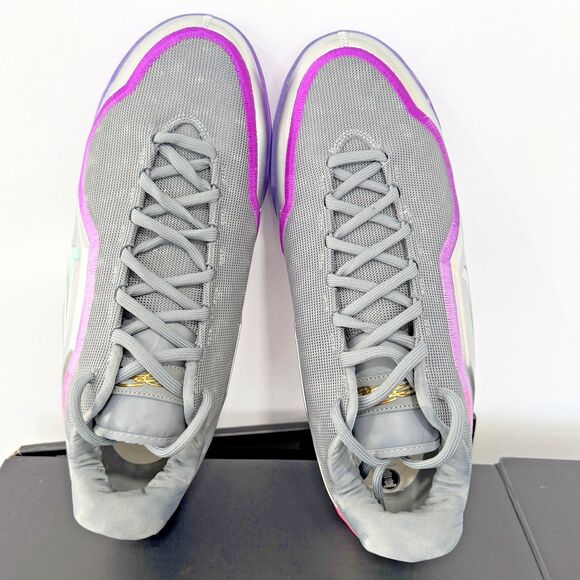 Nike LeBron 23 XXIII Lux \